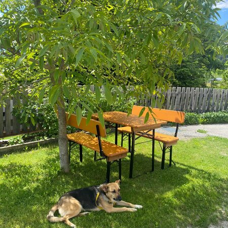 The small beer garden table set was placed in the garden under a tree.